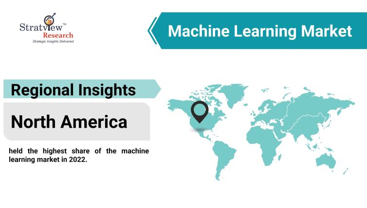 Regional Insights